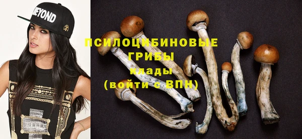 мдма Корсаков